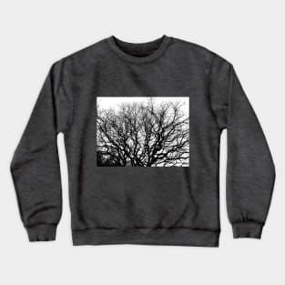 Winter wood in the country. Crewneck Sweatshirt